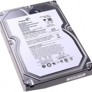 HDD Seagate 1TB (FPT)