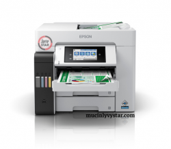 Máy in màu đa chức năng Epson Ecotank L6550/6580 (in/scan/copy/fax)