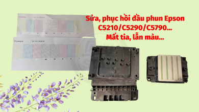 Sửa chữa máy in Epson C5210/C5290 mất màu - lẫn màu